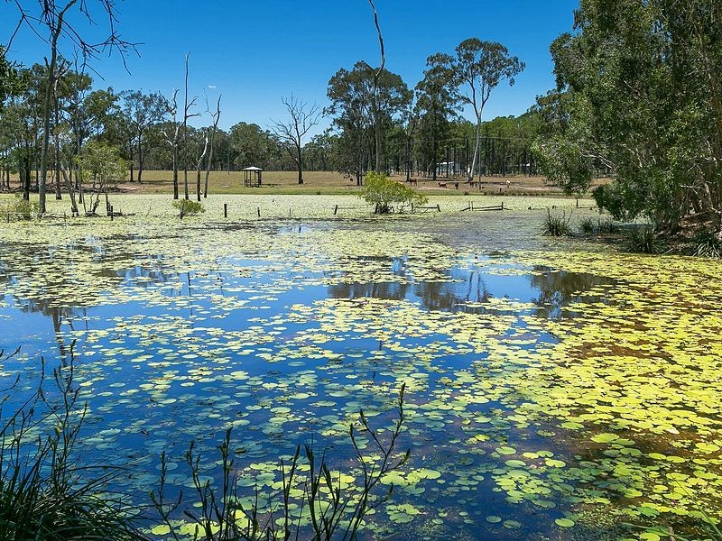 Lot 2 Grabbe Road, Burgowan QLD 4659