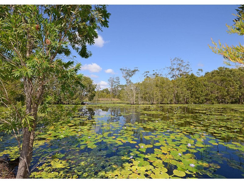 99 Riverview Drive, Burrum Heads QLD 4659