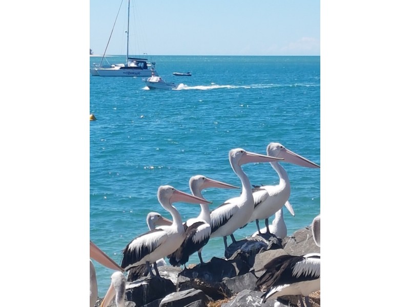 11 Pilbara Way, Burrum Heads QLD 4659