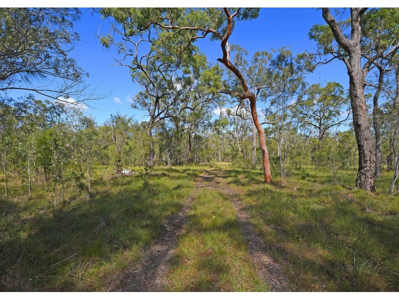 16 Pacific Haven Circuit, Pacific Haven QLD 4659