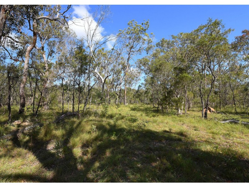 16 Pacific Haven Circuit, Pacific Haven QLD 4659