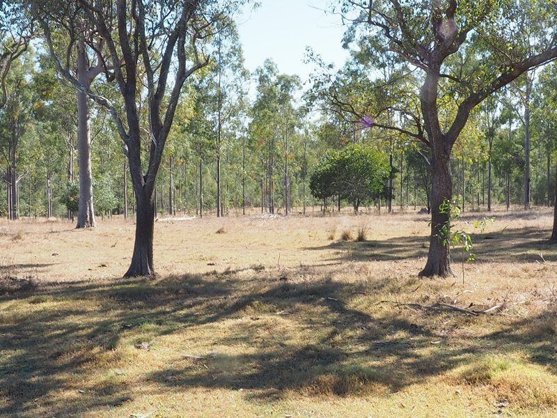 Lot 164 Baupleview Road, St Mary QLD 4650