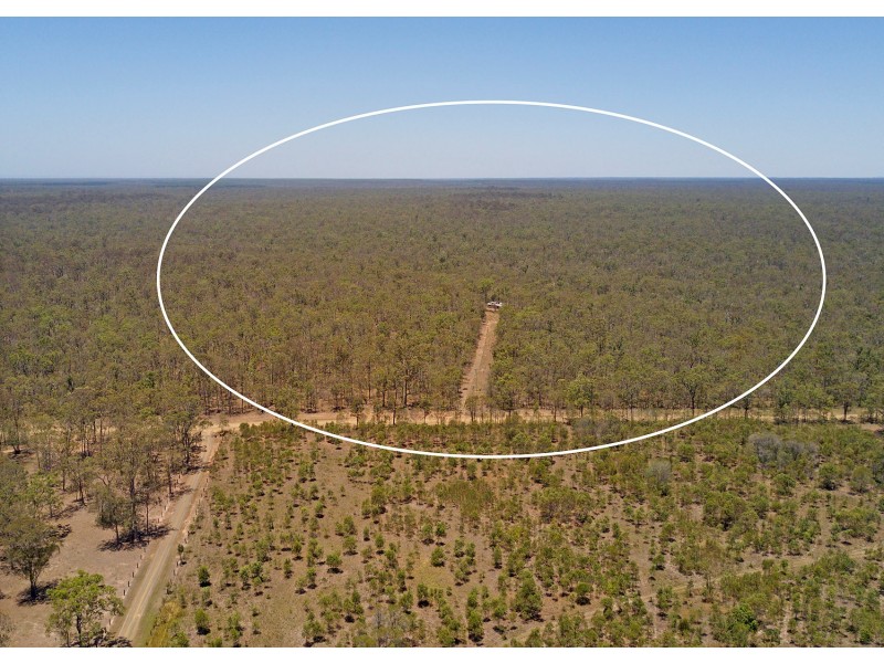 117 JOYNSONS ROAD, Torbanlea QLD 4662