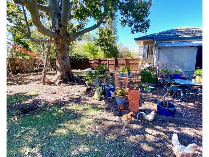 21 EAST STREET, Howard QLD 4659