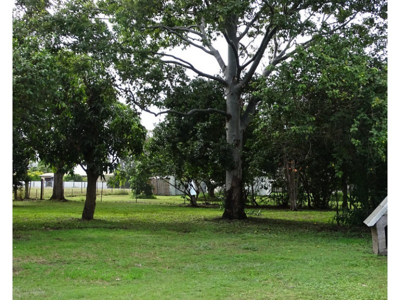 45-47 WATKINS STREET, Howard QLD 4659