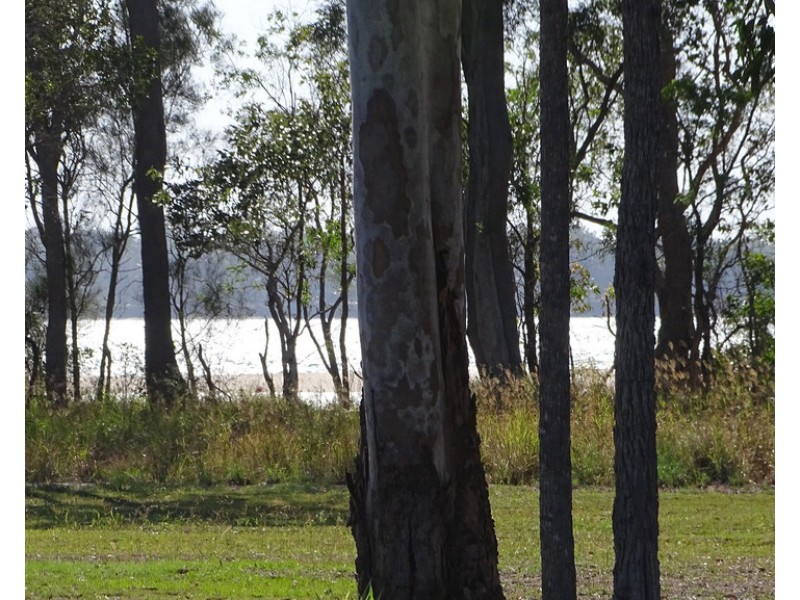 56 TRAVISTON WAY, Burrum Heads QLD 4659