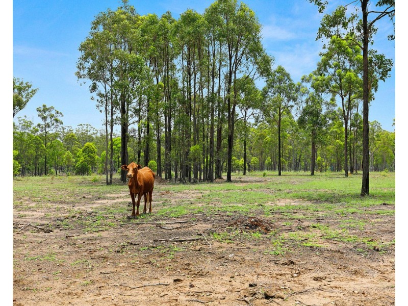 137 – 259 THE YACHTSMANS DRIVE, Burrum River QLD 4659