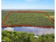 319 THE YACHTSMANS DRIVE, Burrum River QLD 4659