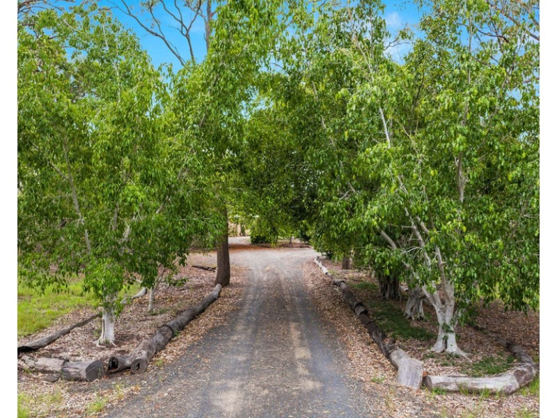 319 THE YACHTSMANS DRIVE, Burrum River QLD 4659