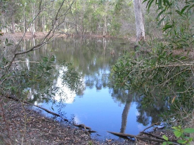 9 Raintree Avenue, Burrum Heads QLD 4659