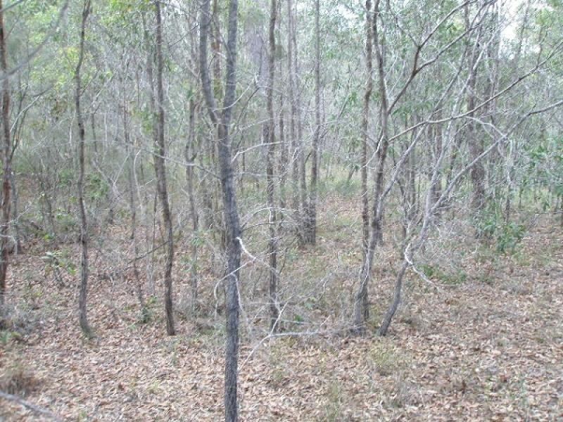 9 Raintree Avenue, Burrum Heads QLD 4659