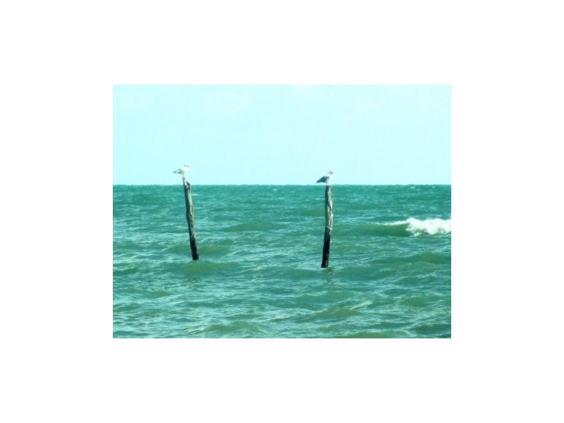 2 Shellcot Street, Toogoom QLD 4655