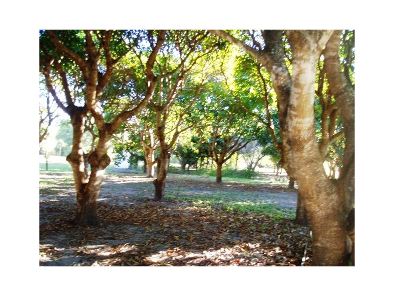 31-33 Dreamtime Av,, Burrum Heads QLD 4659