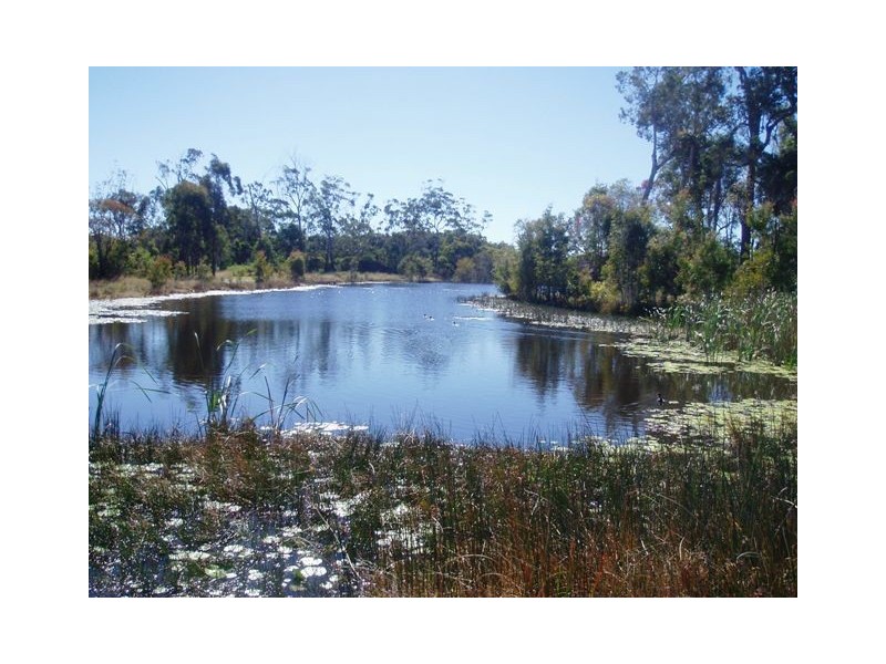 117 Riverview Drive, Burrum Heads QLD 4659