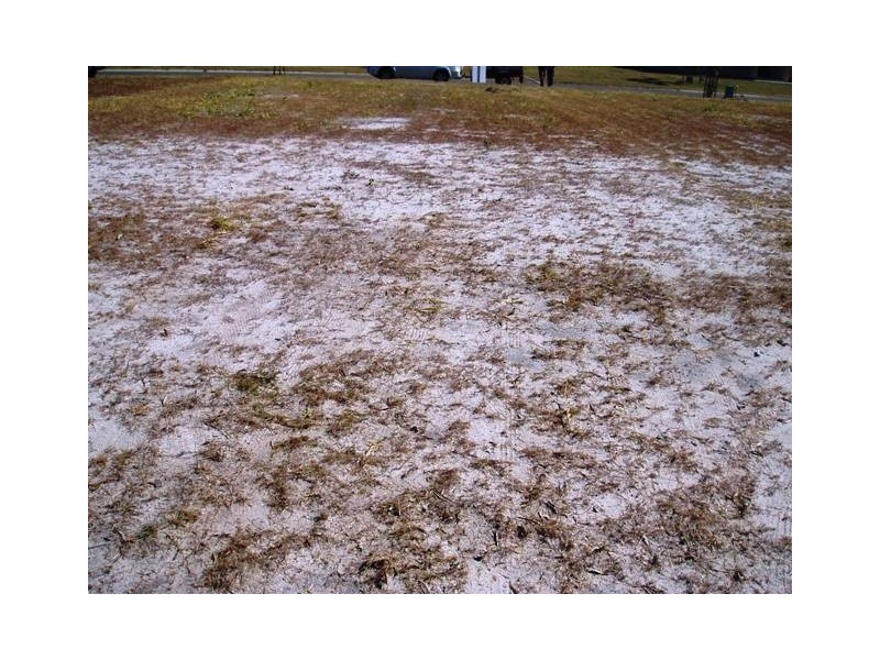 117 Riverview Drive, Burrum Heads QLD 4659