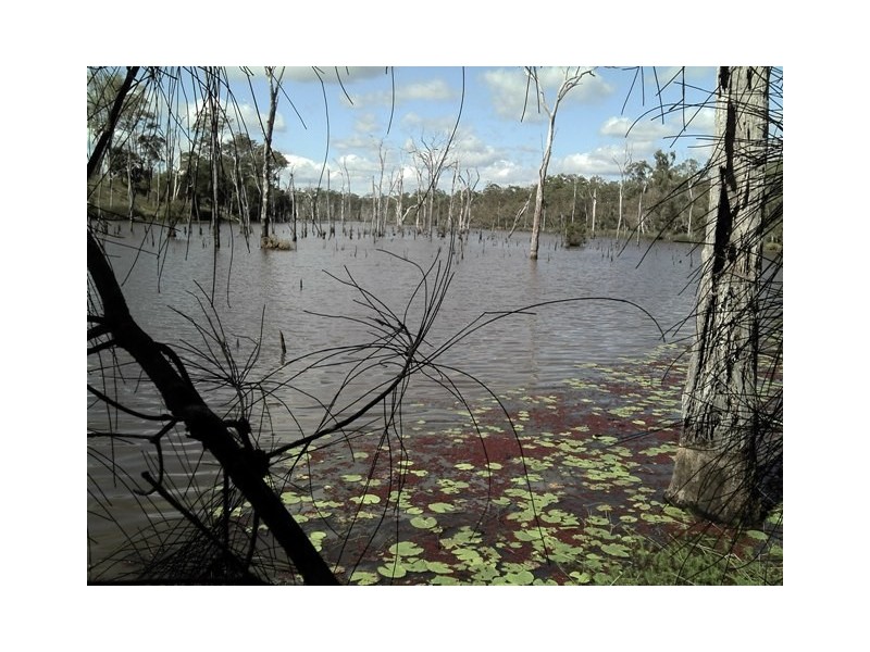 Lot 16 Rices Road, Howard QLD 4659