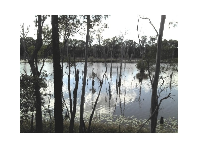 Lot 16 Rices Road, Howard QLD 4659