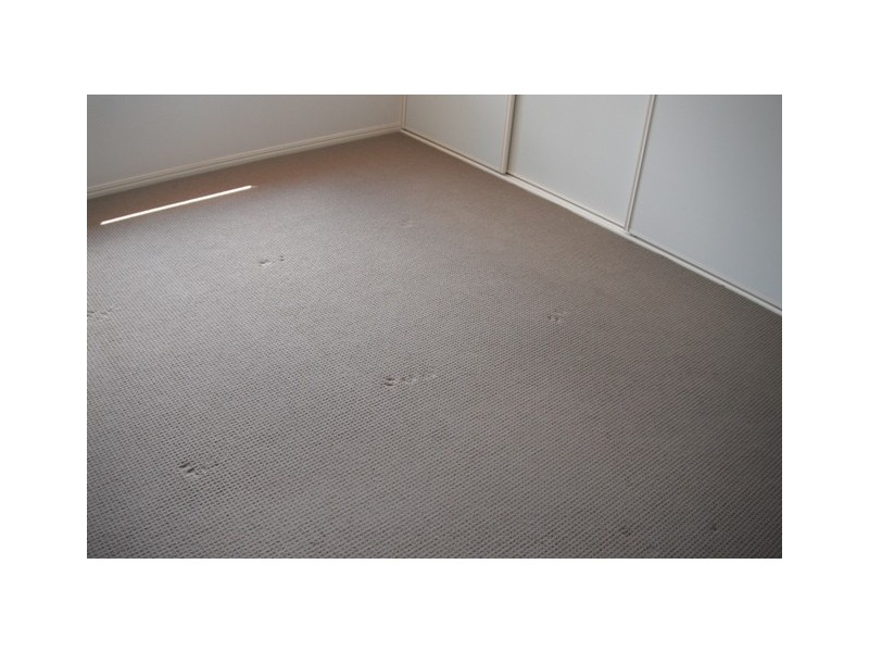 29 Sunny Way, Toogoom QLD 4655