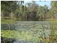 54 Dreamtime Ave, Burrum Heads QLD 4659