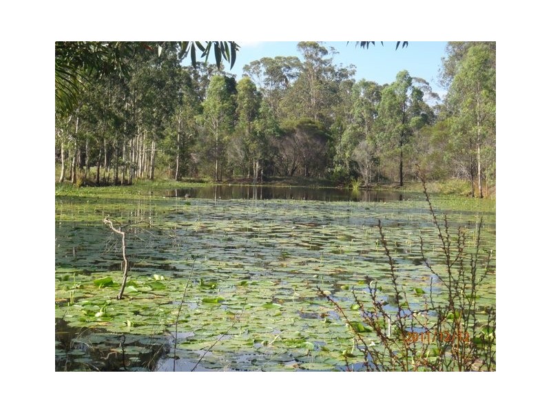 54 Dreamtime Ave, Burrum Heads QLD 4659