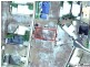 10 Pilbara Way, Burrum Heads QLD 4659