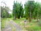 240 Pacific Haven Crct, Pacific Haven QLD 4659