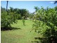 493 Pacific Haven Drive, Pacific Haven QLD 4659
