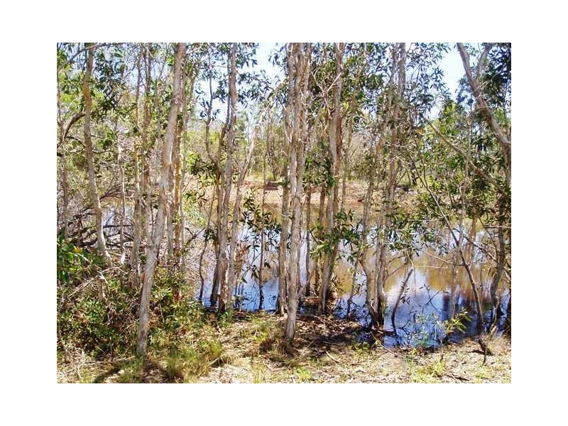 493 Pacific Haven Drive, Pacific Haven QLD 4659