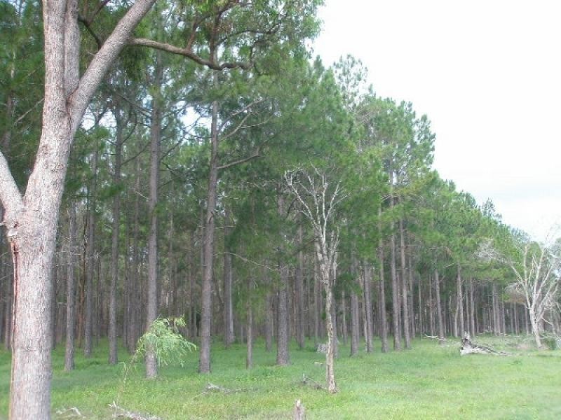 1756 Torbanlea Pialba Road, Burrum Heads QLD 4659