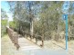4 Eds Place, Burrum Heads QLD 4659