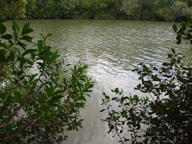 20-22 South Heath Road, Burrum River QLD 4659