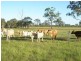 32 Roberts Road North, Torbanlea QLD 4662