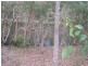 24 Dreamtime Av,, Burrum Heads QLD 4659