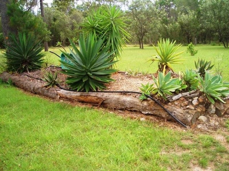 709 Burrum Heads Road, Burrum River QLD 4659