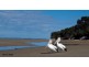 14 Honey Myrtle Cl,, Burrum Heads QLD 4659