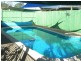 52 Hunter Street, Torbanlea QLD 4662