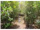 7 Coral Avenue, Pacific Haven QLD 4659