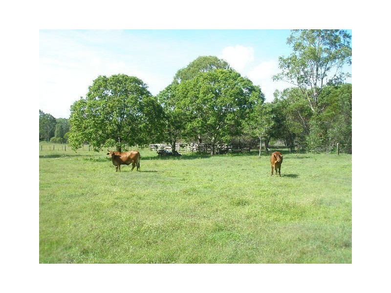 55 Beelbi Creek Road, Beelbi Creek QLD 4659