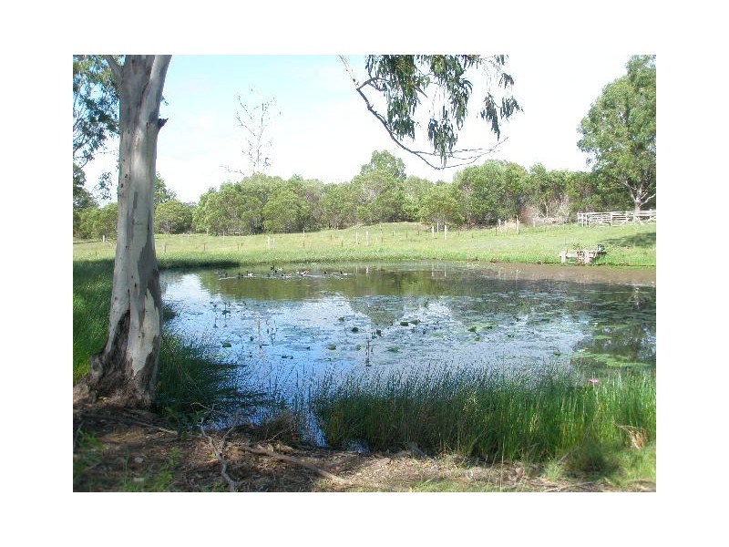 55 Beelbi Creek Road, Beelbi Creek QLD 4659