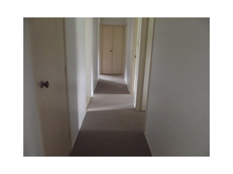 140 Burrum River Road, Torbanlea QLD 4662