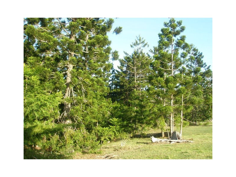 Lot 5 Burgess Road, Howard QLD 4659