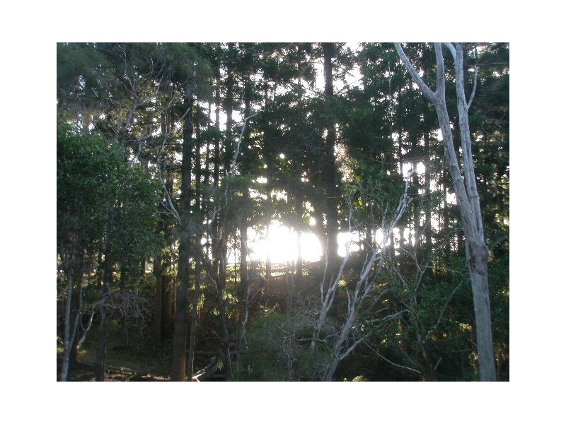 Lot 5 Burgess Road, Howard QLD 4659