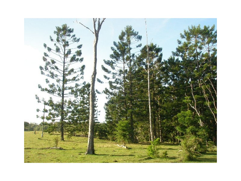 Lot 5 Burgess Road, Howard QLD 4659