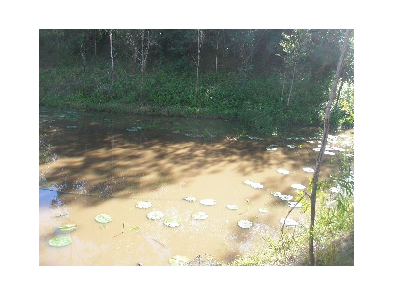 Lot 6 228 Road, Duckinwilla QLD 4650