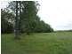 1209 Duckinwilla Road, Howard QLD 4659