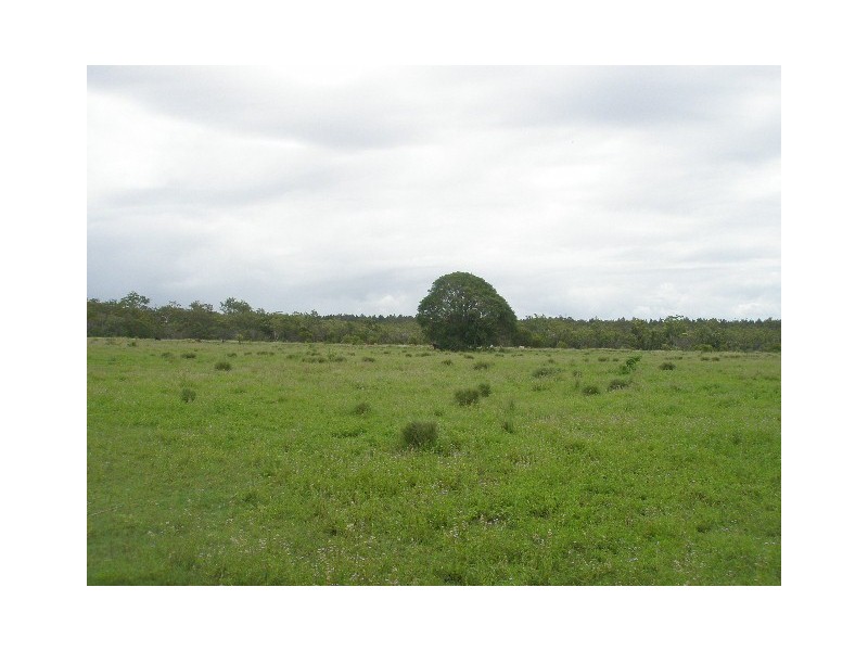 1209 Duckinwilla Road, Howard QLD 4659