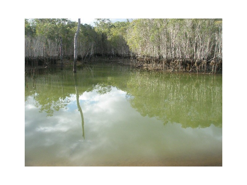 1209 Duckinwilla Road, Howard QLD 4659