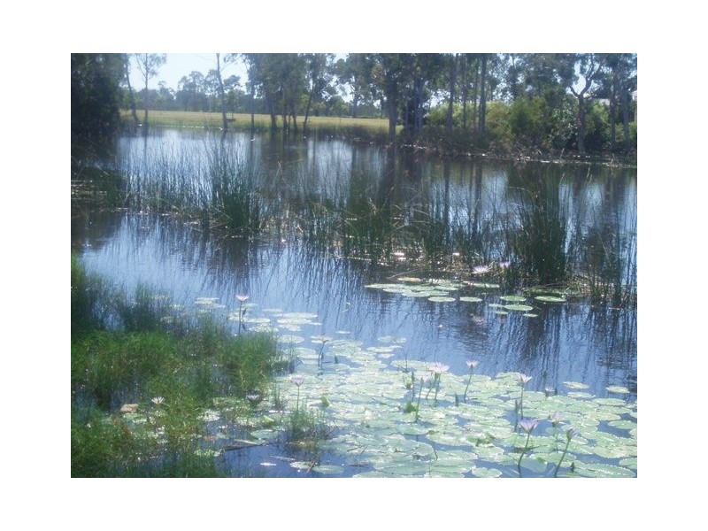 15 Barramundi Dve, Burrum Heads QLD 4659