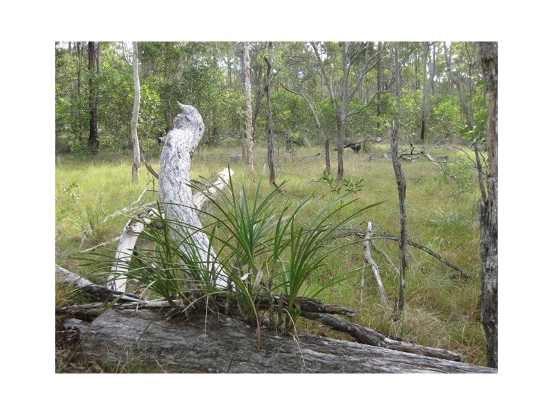 Lot 39, 1209 Duckinwilla Road, Duckinwilla QLD 4650