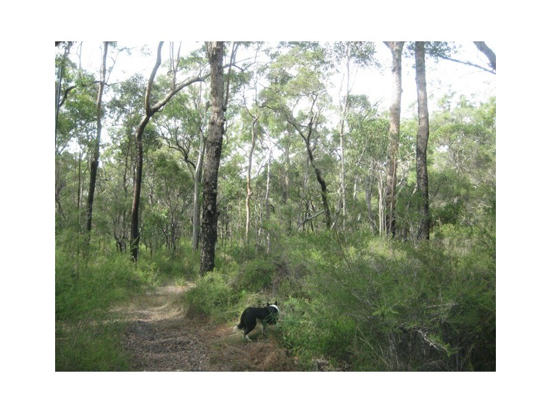 Lot 39, 1209 Duckinwilla Road, Duckinwilla QLD 4650